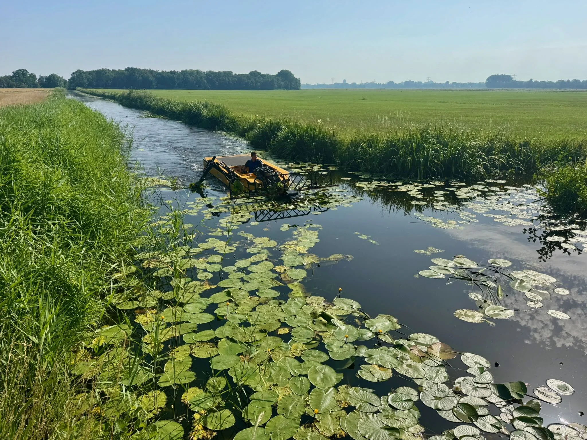 Raptor maaiboot aan het werk tussen waterplanten